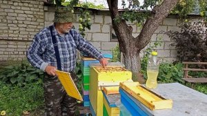 двухсемейный улей на рамку h108.