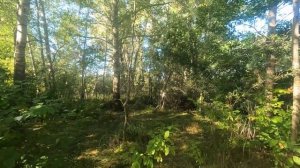 Очей очарованье. 😊