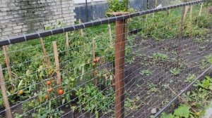 идём мимо деревенских огородов, жизнь в деревне