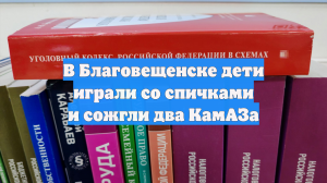 В Благовещенске дети играли со спичками и сожгли два КамАЗа