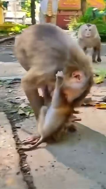 Да он просто играет. смотреть онлайн