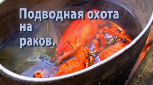 Подводная охота на раков.