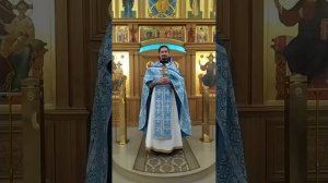 Апология Павла перед Коринфянами. Об апостолах и лжеапостолах. Проповедь о. Вячеслава. 5.9.25