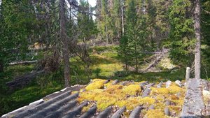 Сплав по реке Цильма или Затерянный Мир. Часть 9: Цильма от 65.212817 49.361619 до избы р. Северная