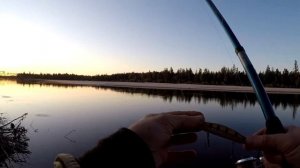 Рыбалка.Щука на живца на реке. Куча зацепов.ОТЦЕП СПАСАЕТ!Щука здесь проблемная,а я её обхетрил!!