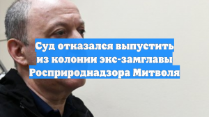 Суд отказался выпустить из колонии экс-замглавы Росприроднадзора Митволя