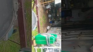 самодельный трахталëт