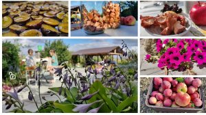 Сливовые конфеты и перламутровые яблоки: Волшебная сушка в сиропе без потерь!