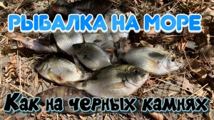 Осенняя рыбалка на море со снастью "бомбарда"