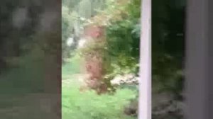 Люди - травля от Ульяна