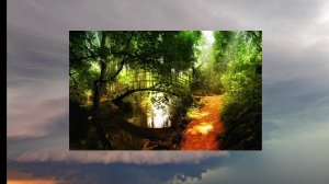 служение миссии "Река Течёт"