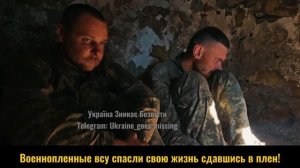Сдавшиеся в плен украинские десантники рассказали