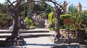 видео с дрона