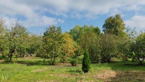 06-09-2025 прогулка по деревне на территории школы