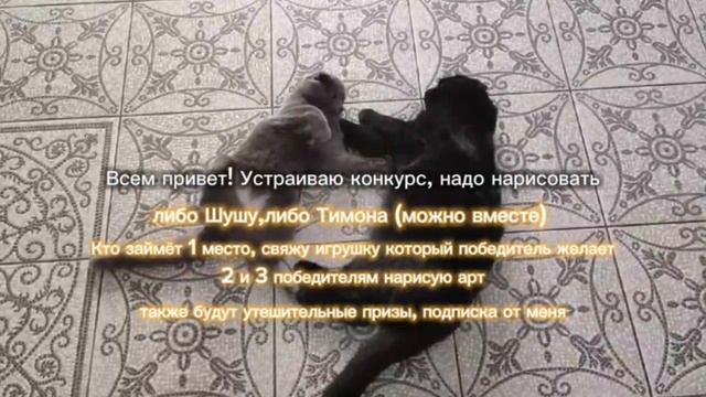 Конкурс!!! Итоги:14 сентября!!!