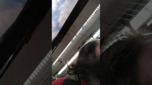 Поездки в общественном транспорте | 6-сен-2025, 6