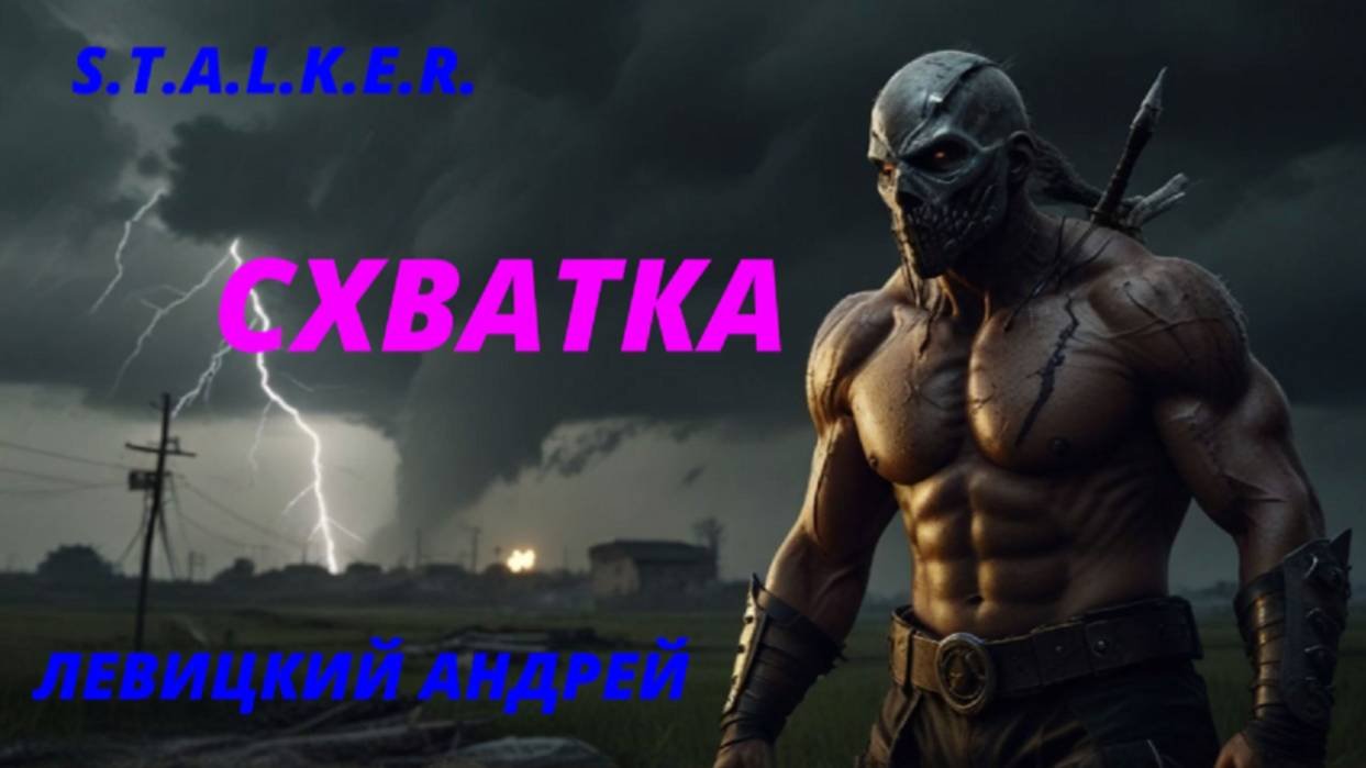 S.T.A.L.K.E.R. - СХВАТКА