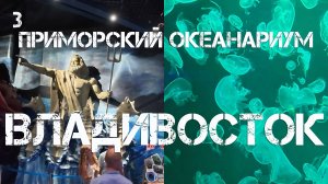 Владивосток остров Русский,Приморский океанариум (третий фрагмент,12 августа 2025).