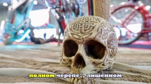 В Греции нашли очень странный череп