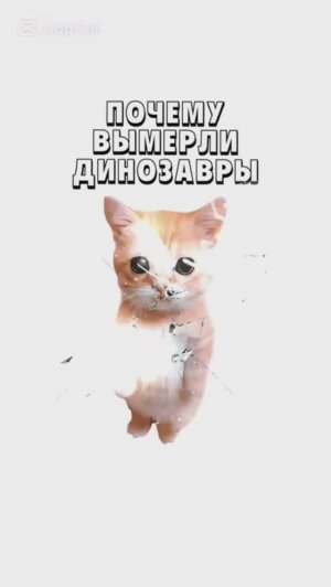 КИСЫ ОБЪЯСНЯЮТ / Почему Вымерли Динозавры? / Первые Признаки Аутизма / Кто такой Нормис?