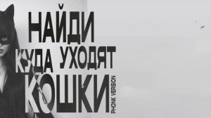 НайдИ — Куда уходят кошки (phonk version)