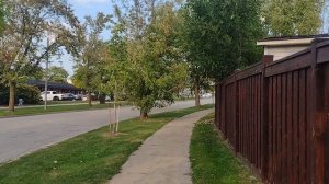 Канадский калейдоскоп. 05.09.2025. Канадские страсти по литературе, подростковая преступность.