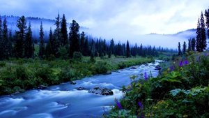 Голубая тайга (перепевка,кавер-версия) Советские песни
