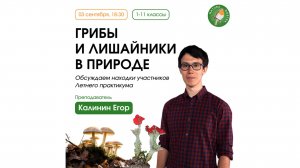 Грибы и лишайники в природе