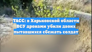 ТАСС: в Харьковской области ВСУ дронами убили двоих пытавшихся сбежать солдат