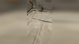 Наши работы 13