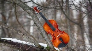 Современная классическая музыка на скрипке | Ecveezer - Care And Affection