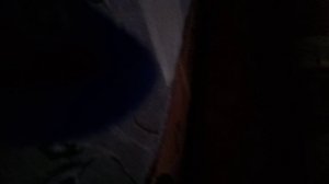 Я одинок (часть 2)