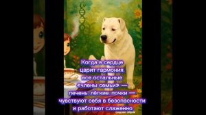 Утренние ритуалы.