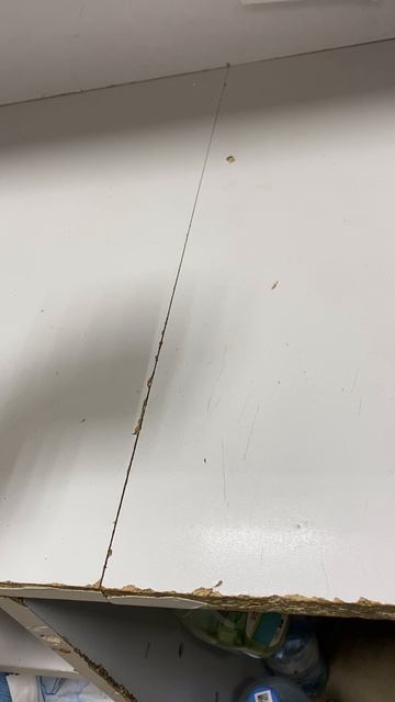 06-09-2025 смотреть онлайн