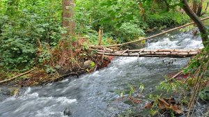 Моя река из детства