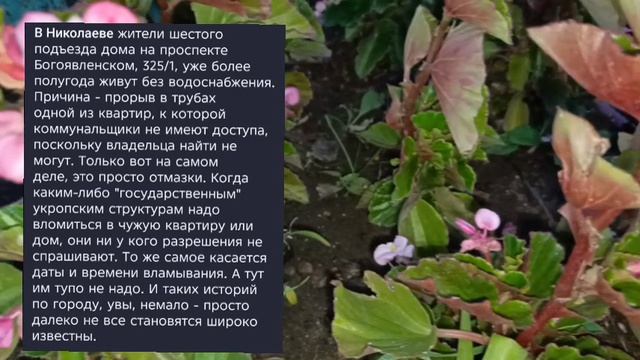 Николаев 6 сентября 2025 года (новости)