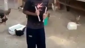 Кунг-фу по-цыгански / видео приколы 2025 смотреть онлайн / приколы видео самые смешные /