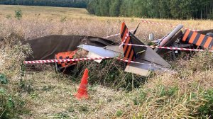Легкомоторный самолет разбился под Москвой, пилот погиб