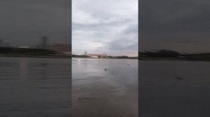 Прогулка по городу Новосибирску