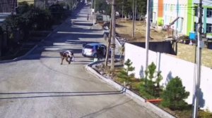 В нэньке продолжается комплектование велосипедных бригад