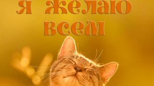 Молитва за мир во всем мире! Live 06.09.2025