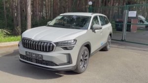 SKODA Kodiaq,Selection,Stillgray