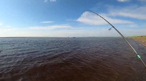 Рыбалка на реке. Хищники на Енисее! Часть первая.