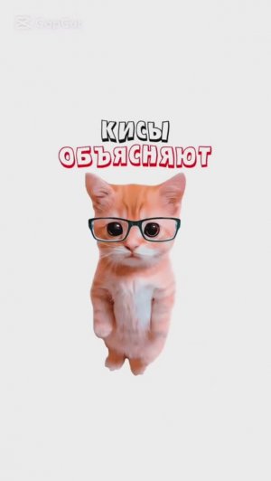 КИСЫ ОБЪЯСНЯЮТ / Как работает Рейдж Байт? / Как работает Синдром Отличника? / Как работают Стероиды
