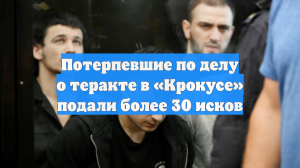 Потерпевшие по делу о теракте в «Крокусе» подали более 30 исков