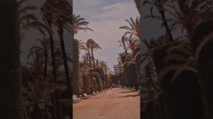 Любой рай.Гл 9 .Раджив открывает секреты.Продолжение следует.