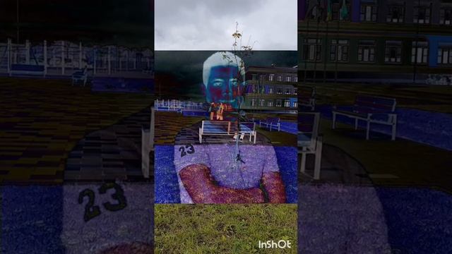 Maksaut1.mp4