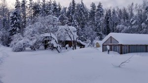 Красивый вид