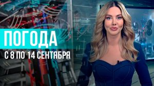 Погода на неделю 8 – 14 сентября 2025. Прогноз погоды. Беларусь | Метеогид