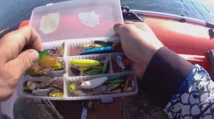 Попал на нерест карася и бешеный клев окуня.